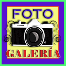 LogoFotoGaleria
